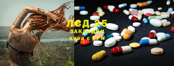 гашик Алзамай