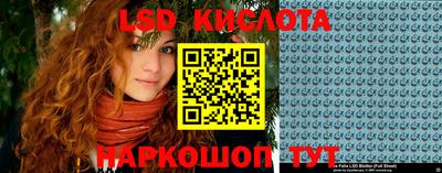крисы Новодвинск