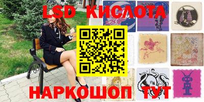 крисы Новодвинск