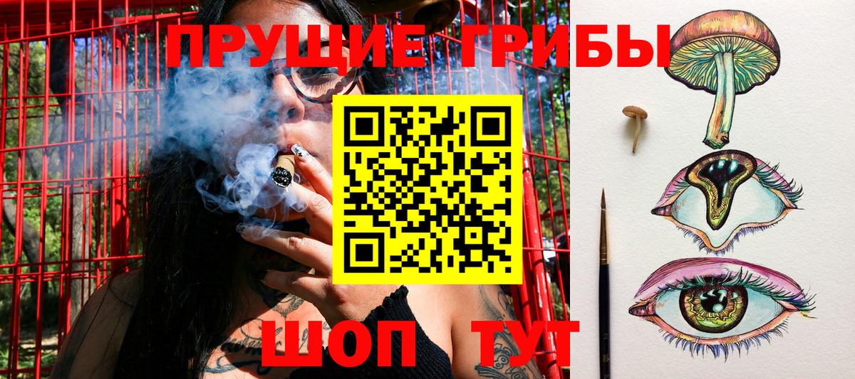 Галлюциногенные грибы ЛСД  Псилоцибиновые грибы Psilocybe  Вход с VPN  Сургут 